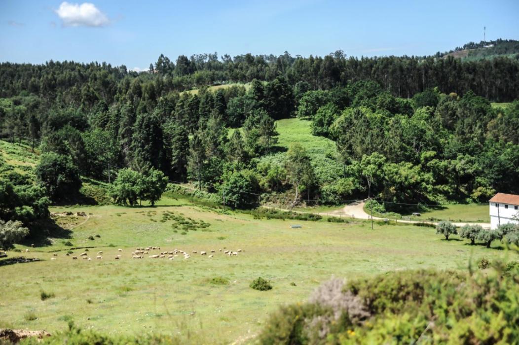 Vumba Agroturismo Arganil Kültér fotó