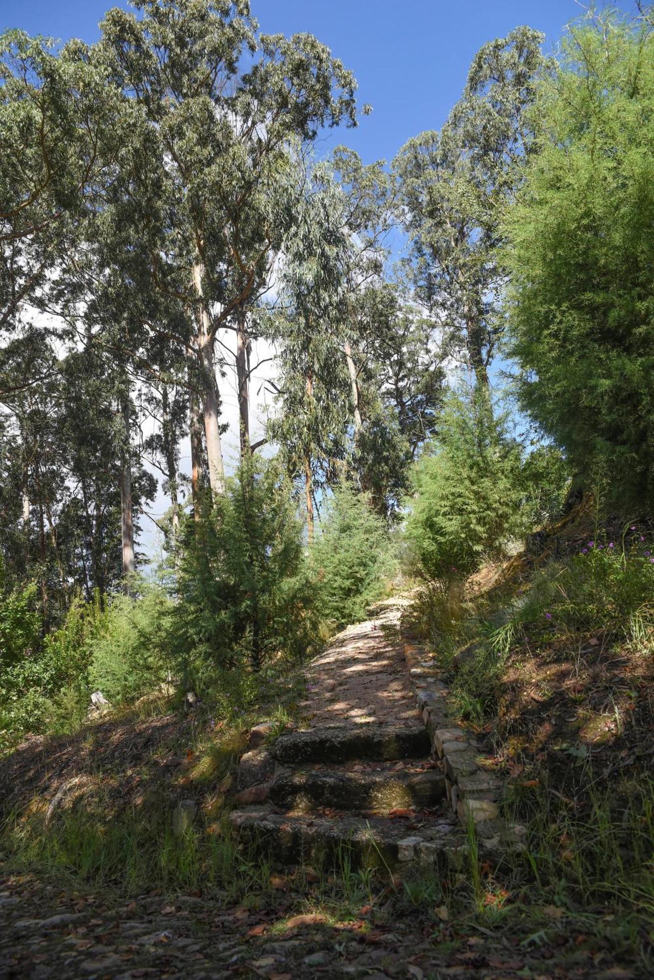 Vumba Agroturismo Arganil Kültér fotó